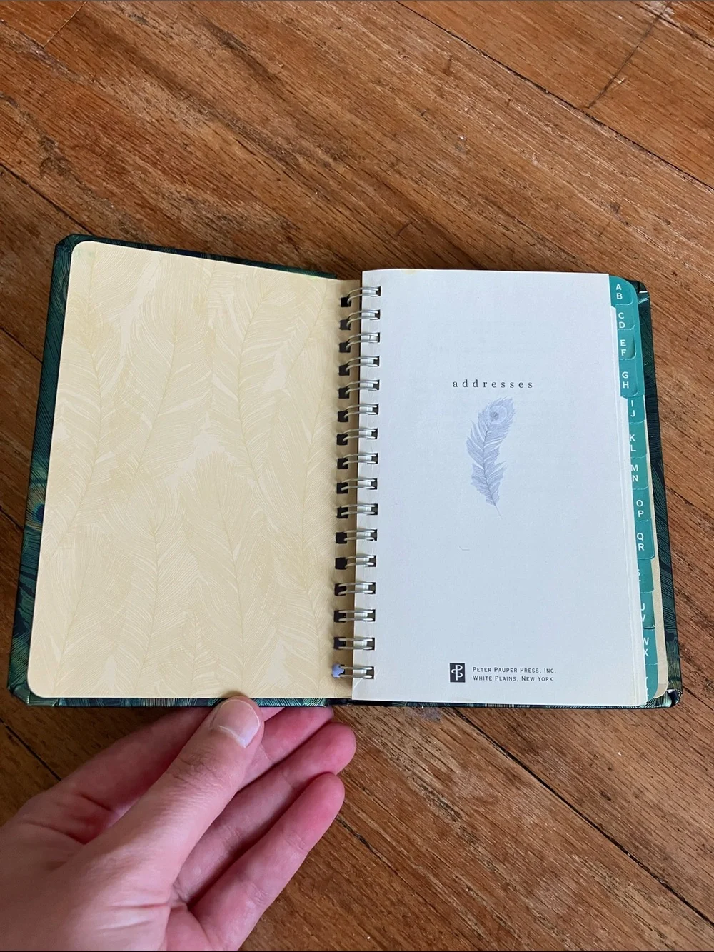 Peacock Feathers Address Book